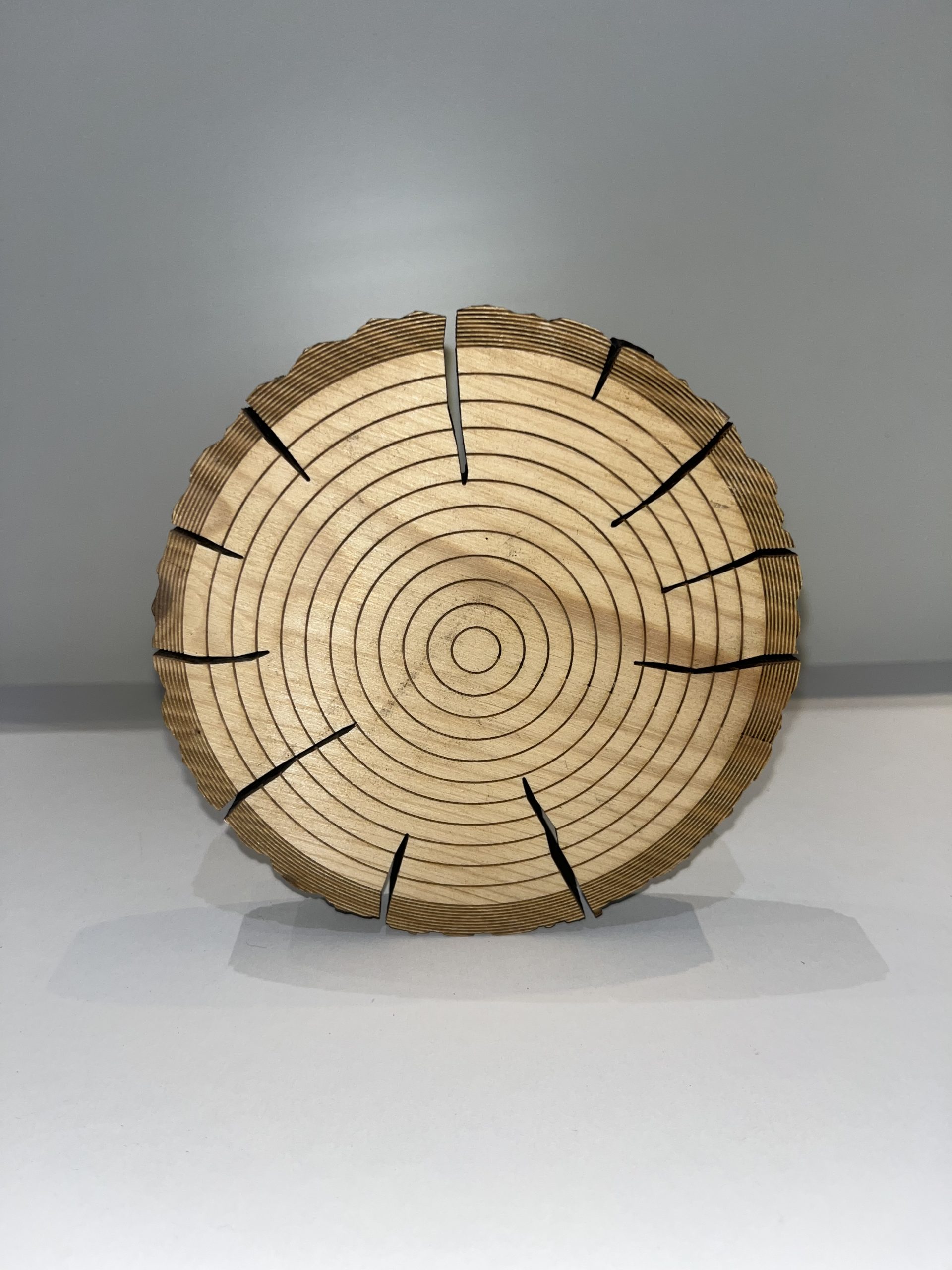 Disque décoratif en bois - Gravure laser